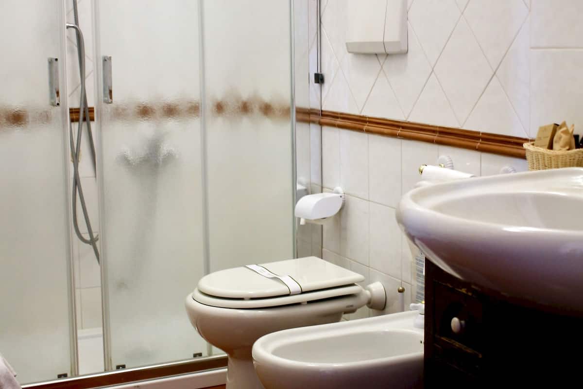 combined shower/bathtub, free toiletries, hair dryer, bidet