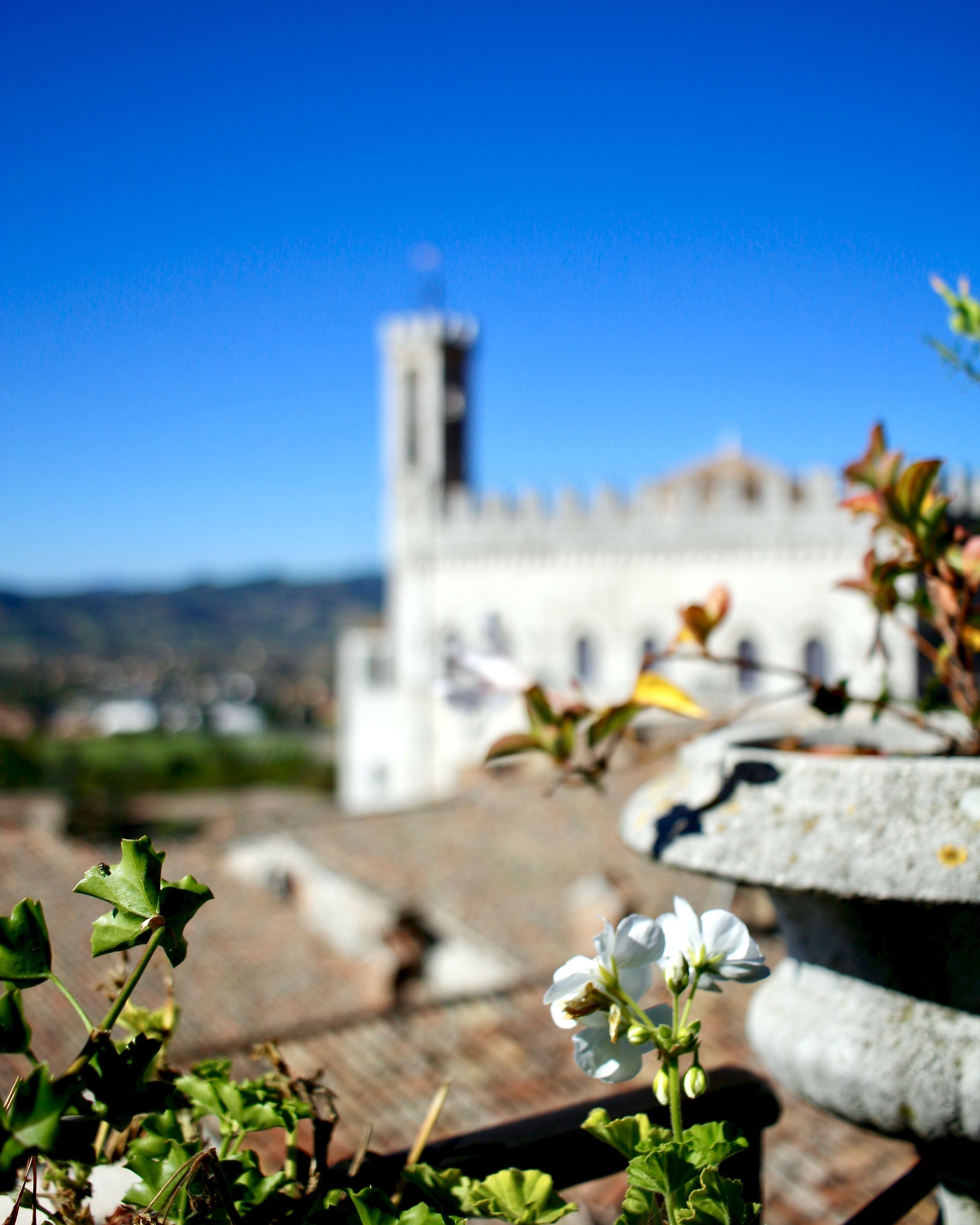 Une vue d’un bâtiment historique doté d’une tour, entouré de verdure et de fleurs.