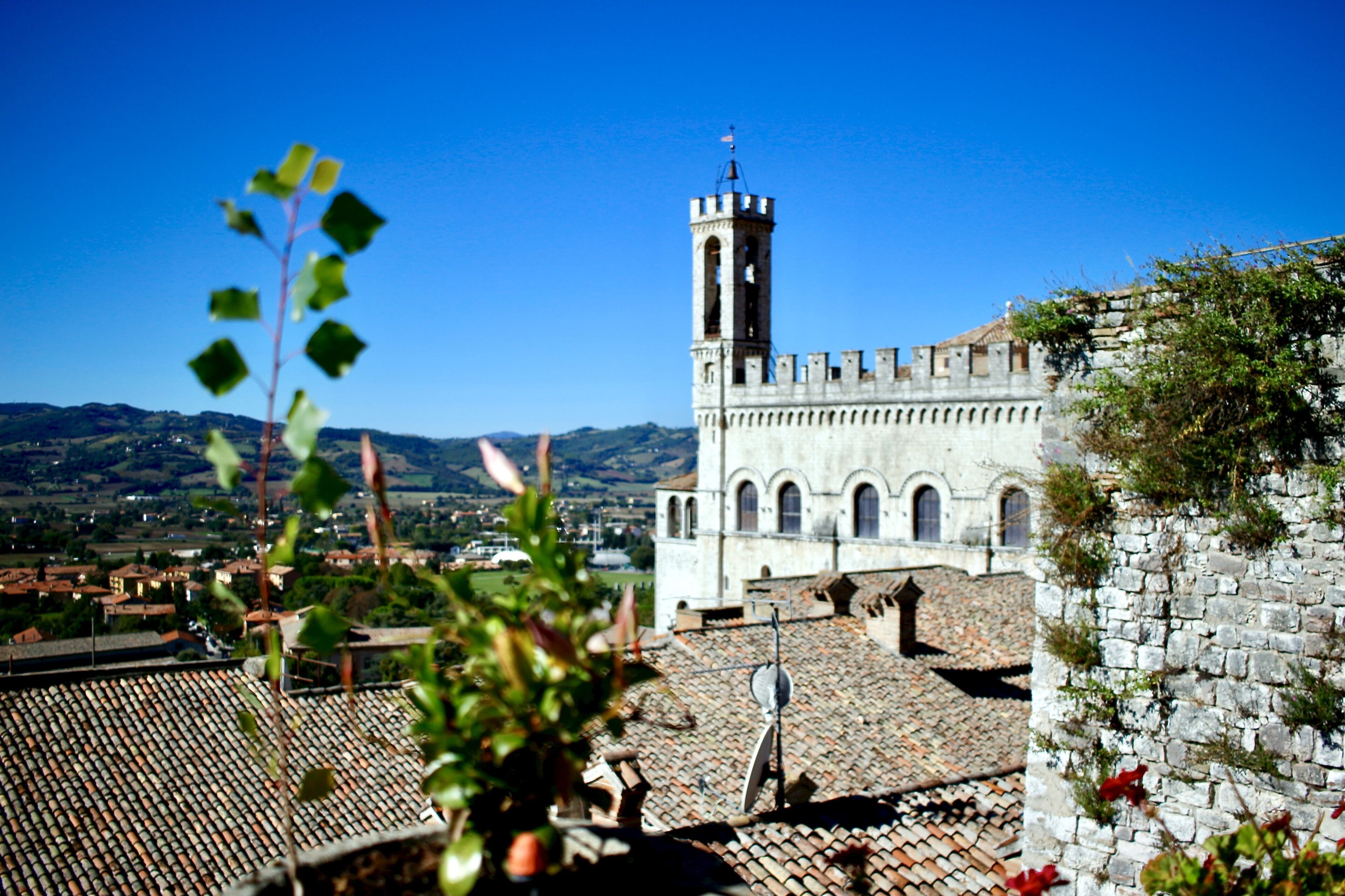 city view from property