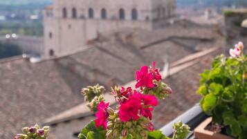 A balcony with potted plants and a view of a historic building with a tower.