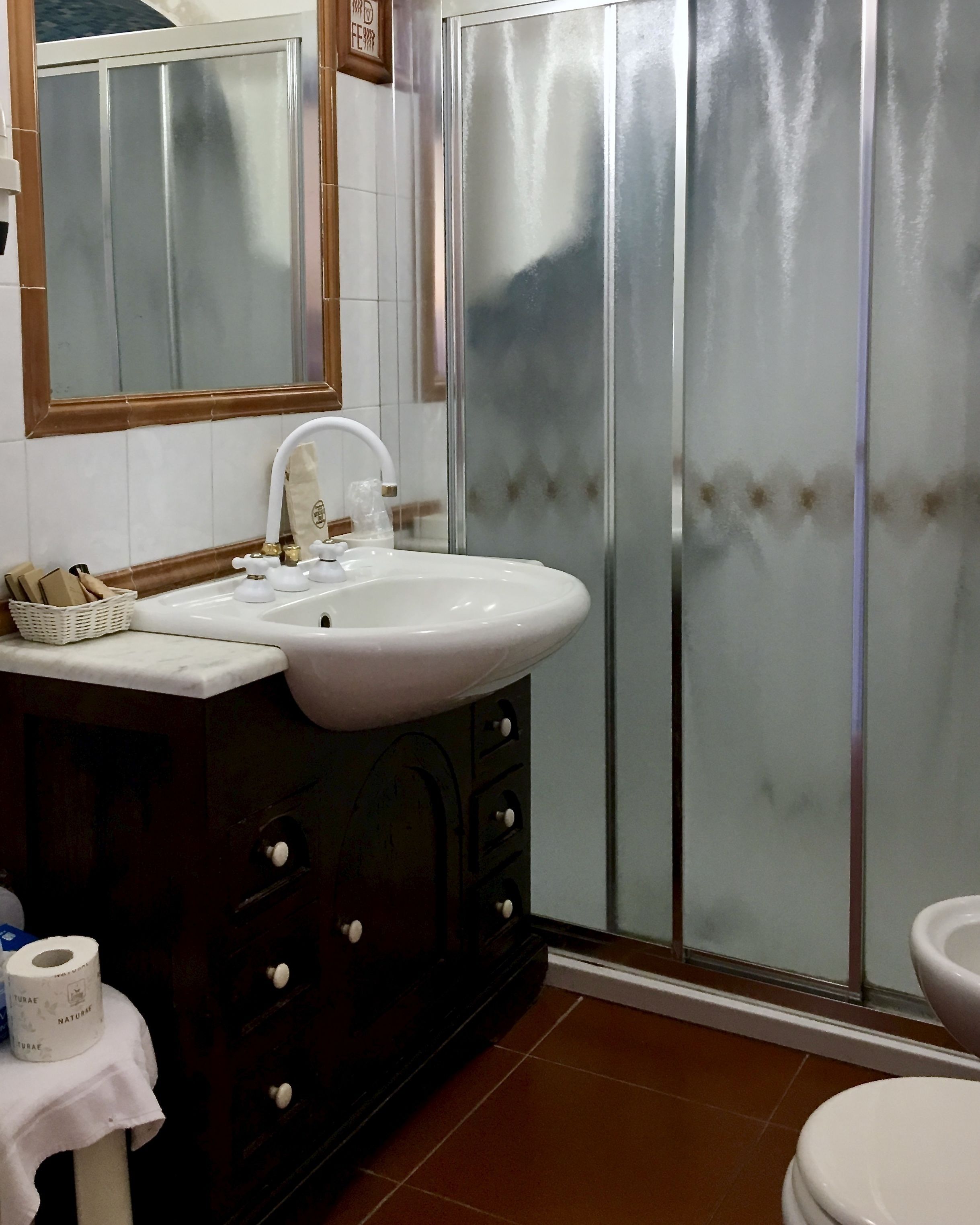 combined shower/bathtub, free toiletries, hair dryer, bidet