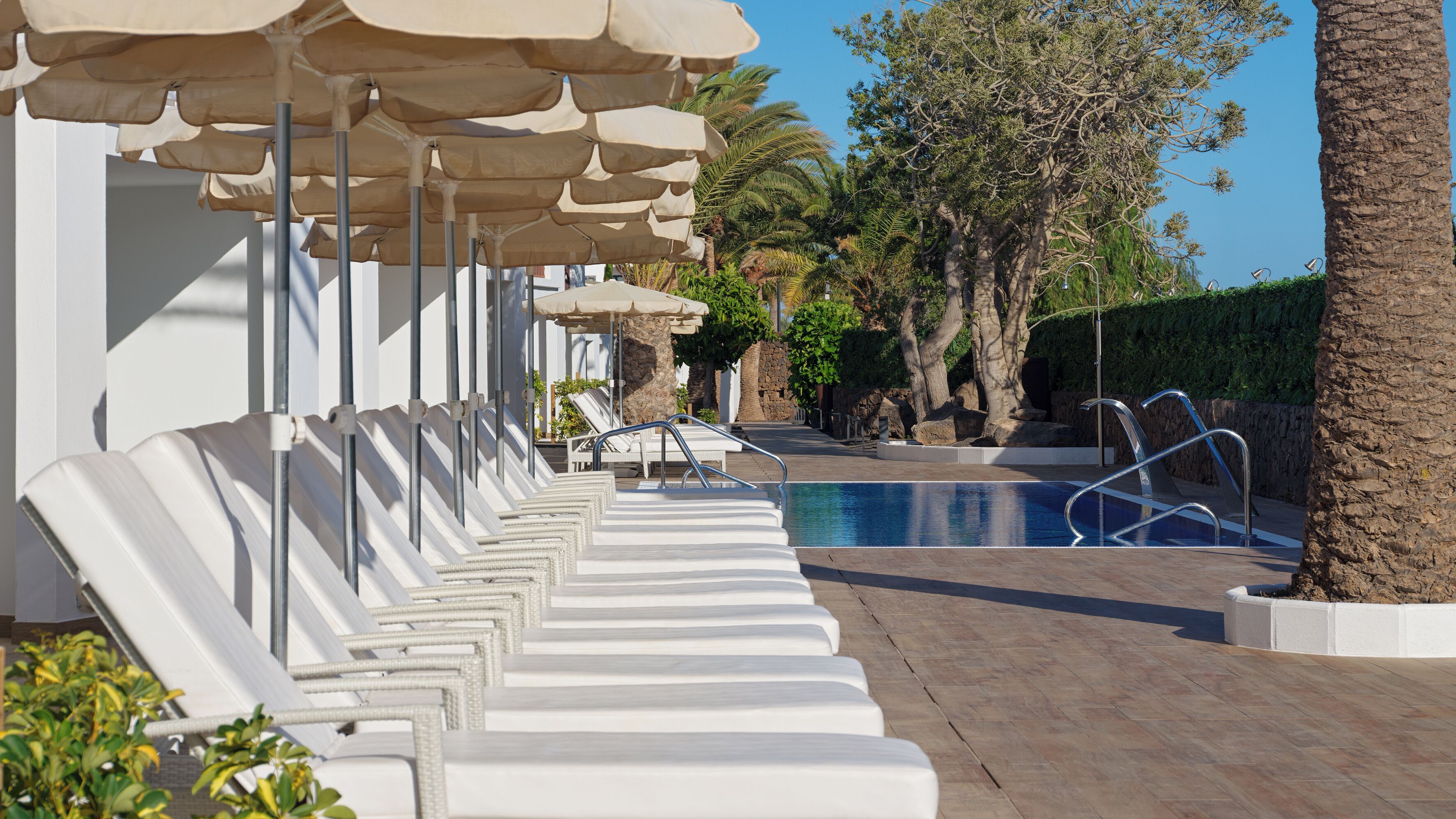A poolside area with white lounge chairs and beige umbrellas, a pool, and a stone wall with greenery.