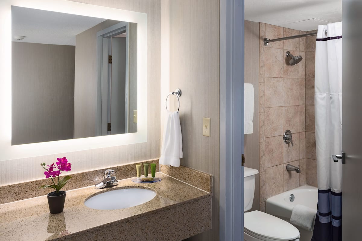 A bathroom with a granite countertop sink, a mirror, a toilet, and a shower area.