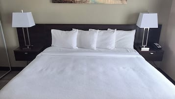 Rideaux occultants, fer et planche à repasser, Wi-Fi gratuit