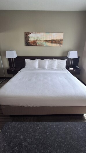 1 bedroom, blackout curtains, iron/ironing board, free WiFi