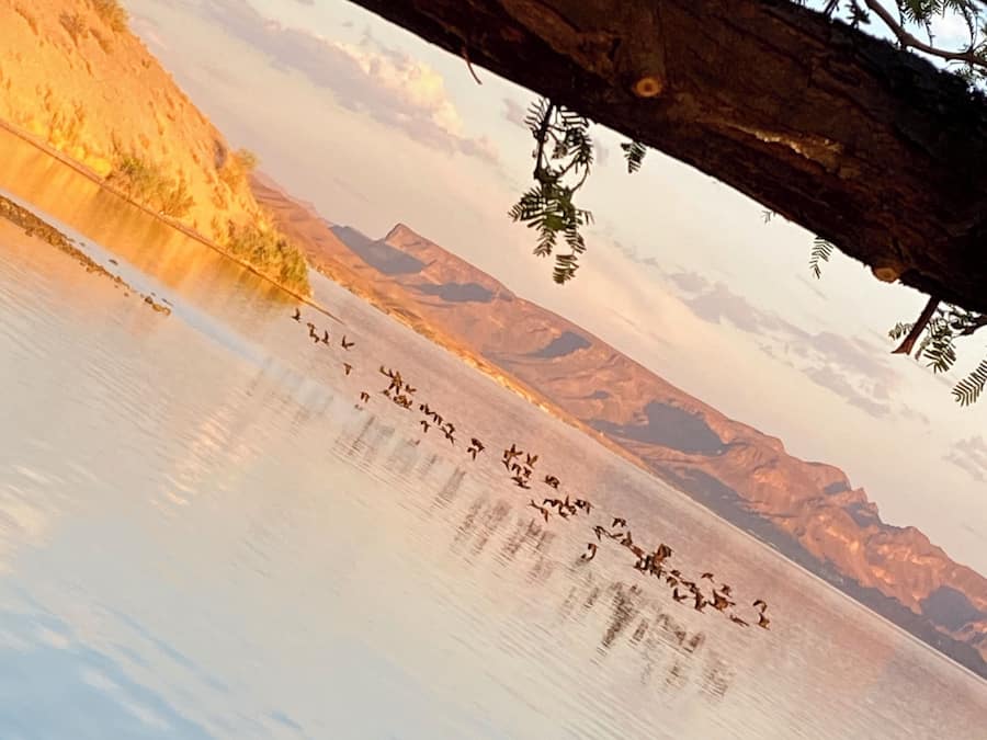 A calm lake with mountains in the background and a wooden structure in the foreground.