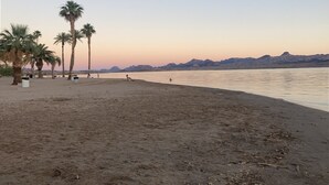 A beach with palm trees and a calm sea. - Island Suites (Lake Havasu City)