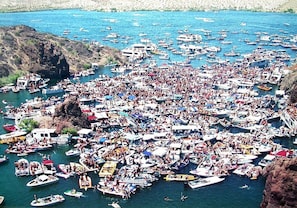 A crowded marina with numerous boats docked and people gathered on the shore.