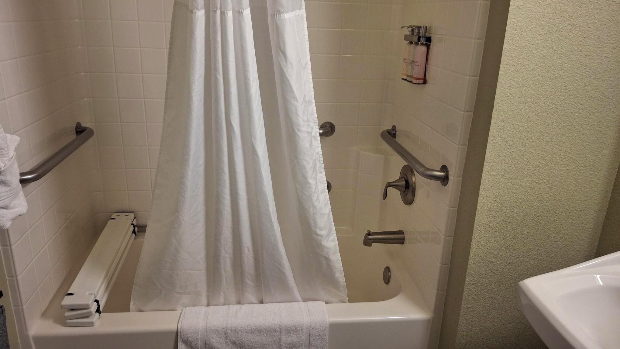 premium suite, 1 queen bed with sofa bed, accessible | bathroom | combined shower/bathtub, free toiletries, hair dryer, towels