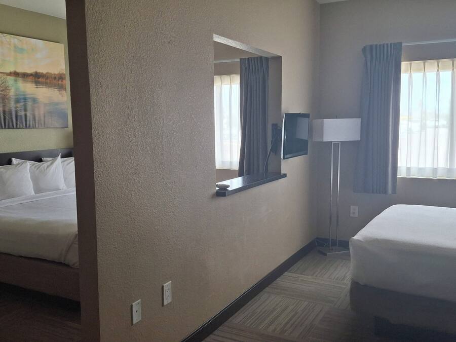 A hotel room with two beds, a large painting on the wall, a mirror, a lamp, and a view of the outdoors through the window.