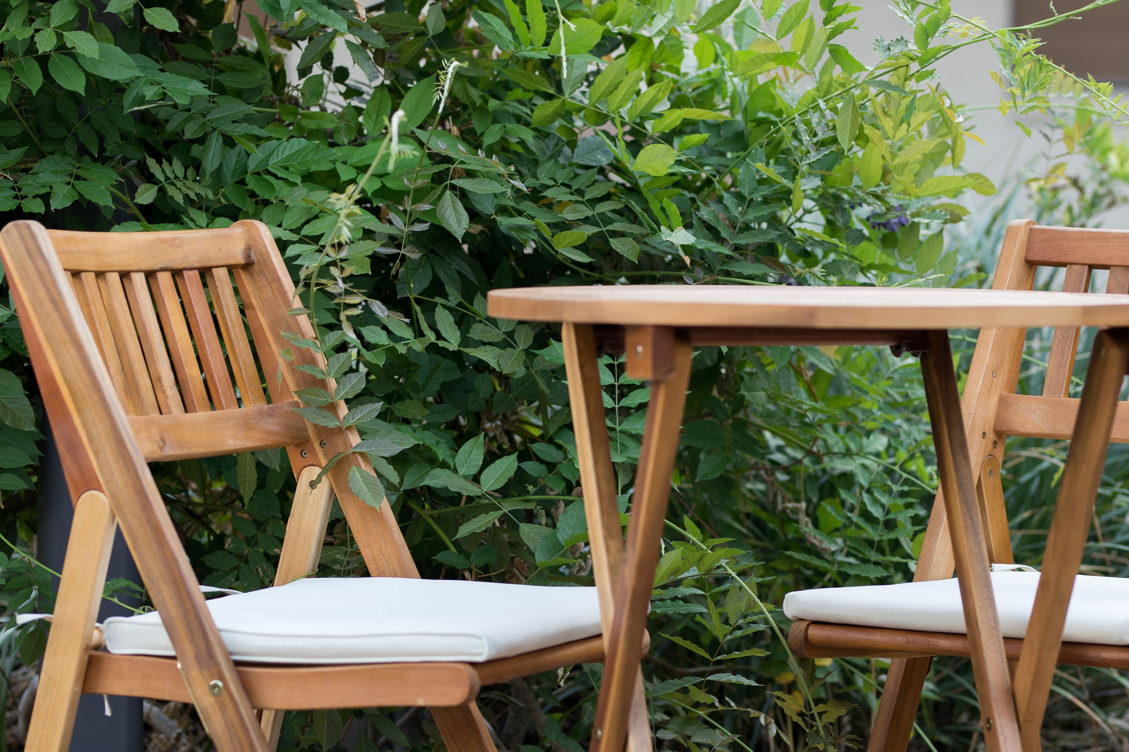 Two wooden chairs with white cushions and a wooden table, set against a backdrop of dense green foliage.