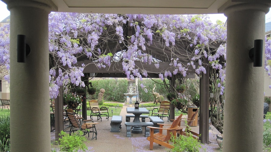 Vineyard Court Designer Suites Hotel