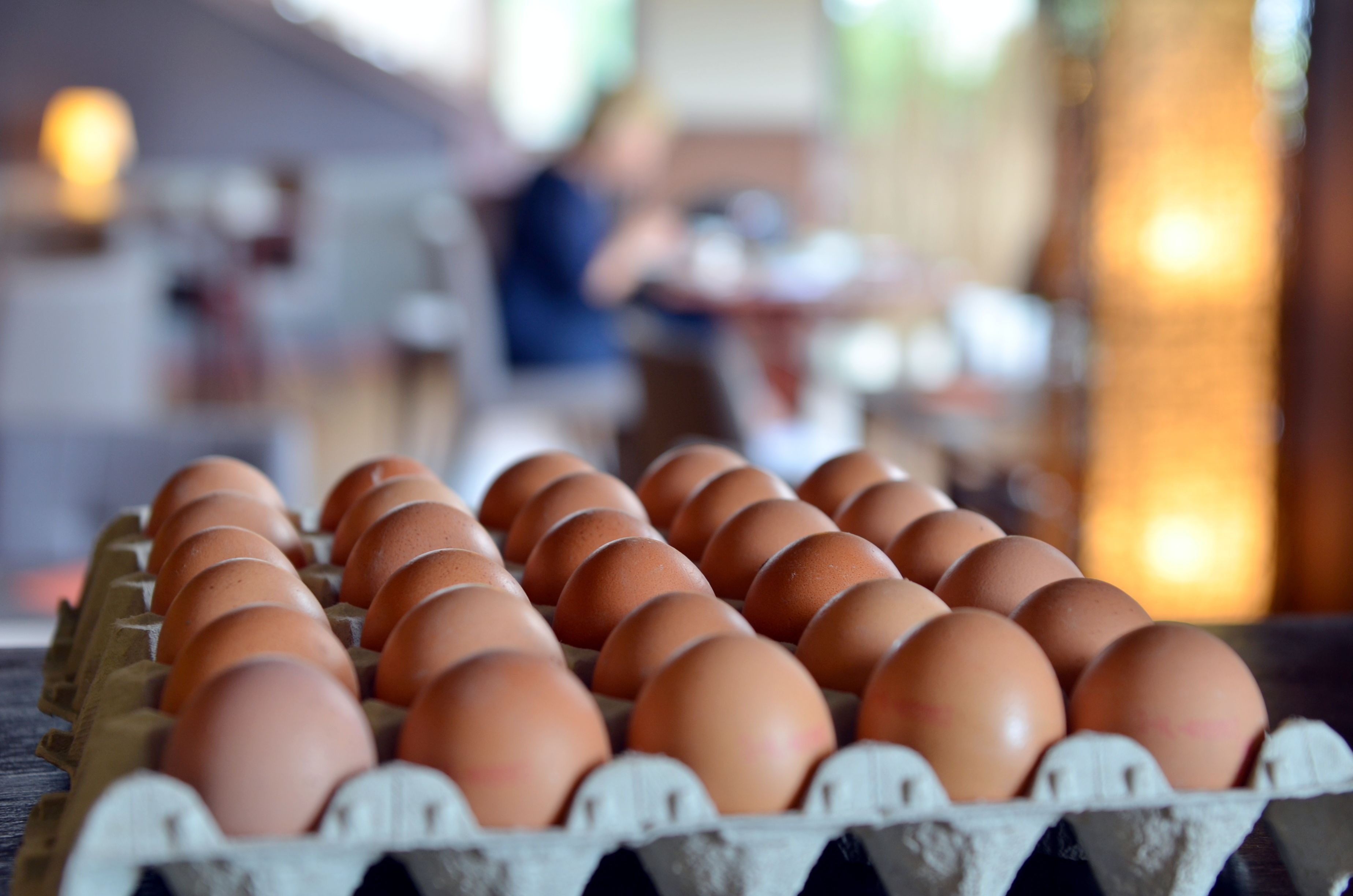 A carton of eggs with a blurred background.