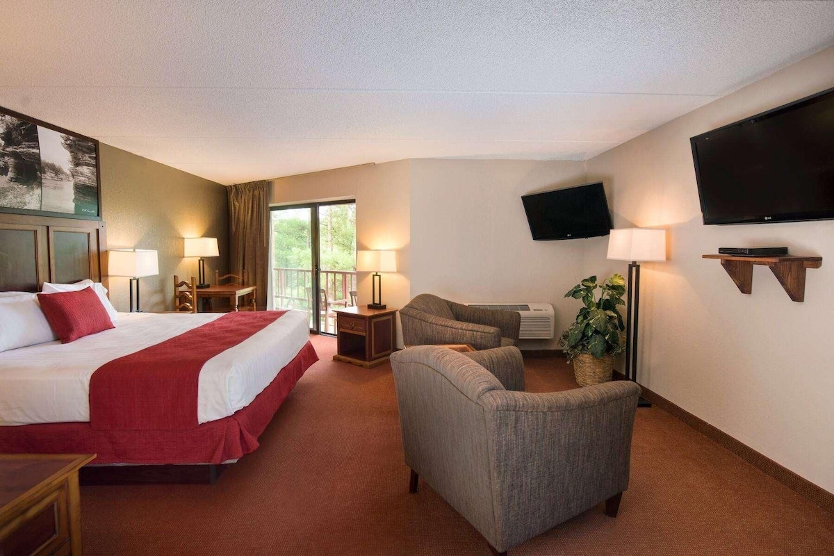 A hotel room with a bed, a desk, a chair, a television, and a plant.