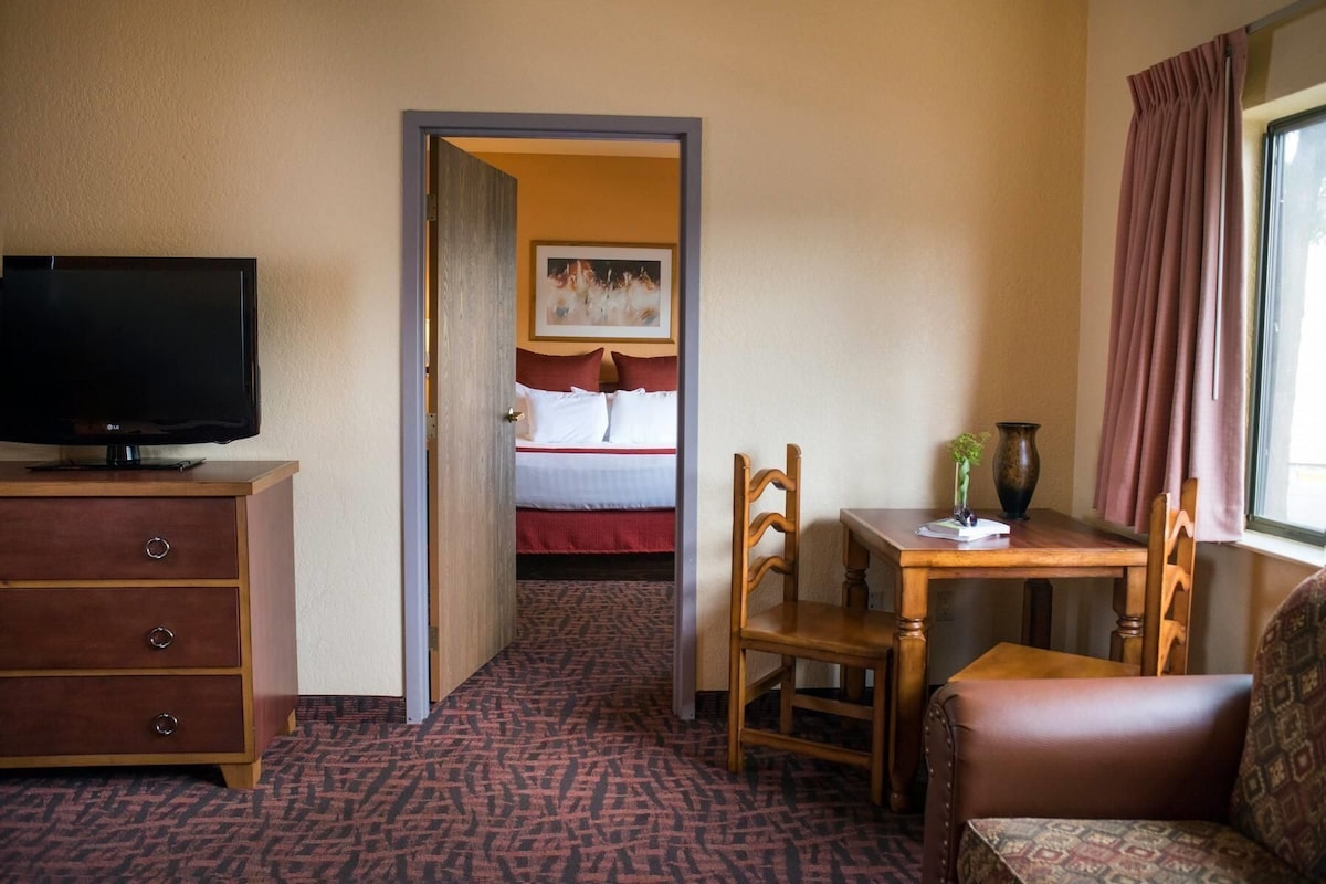A hotel room with a television, a desk with a vase, a chair, a bed with red bedding, and a patterned carpet.