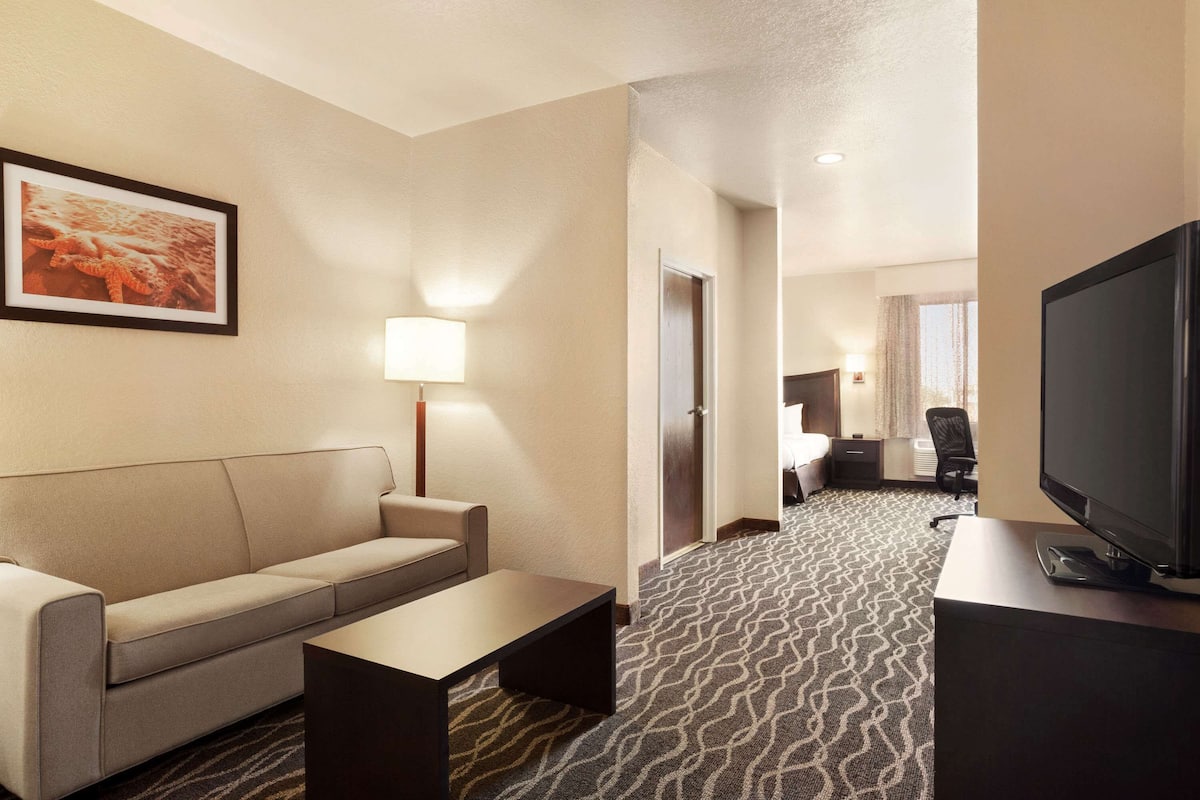 Habitación de hotel con sofá, una mesa de centro, televisión y alfombra estampada.