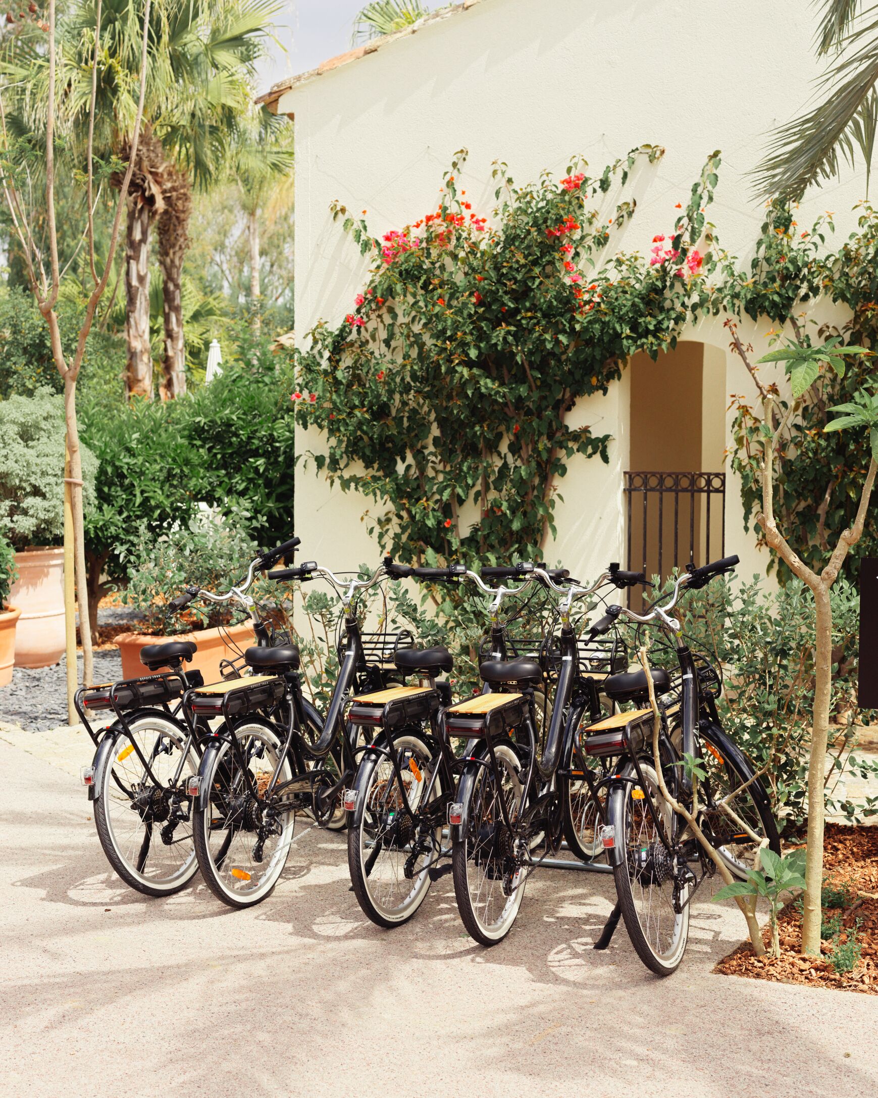 A row of bicycles parked in front of a building with a white wall and a climbing plant with red flowers.