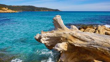 Beach nearby, free beach shuttle