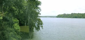 Lake view