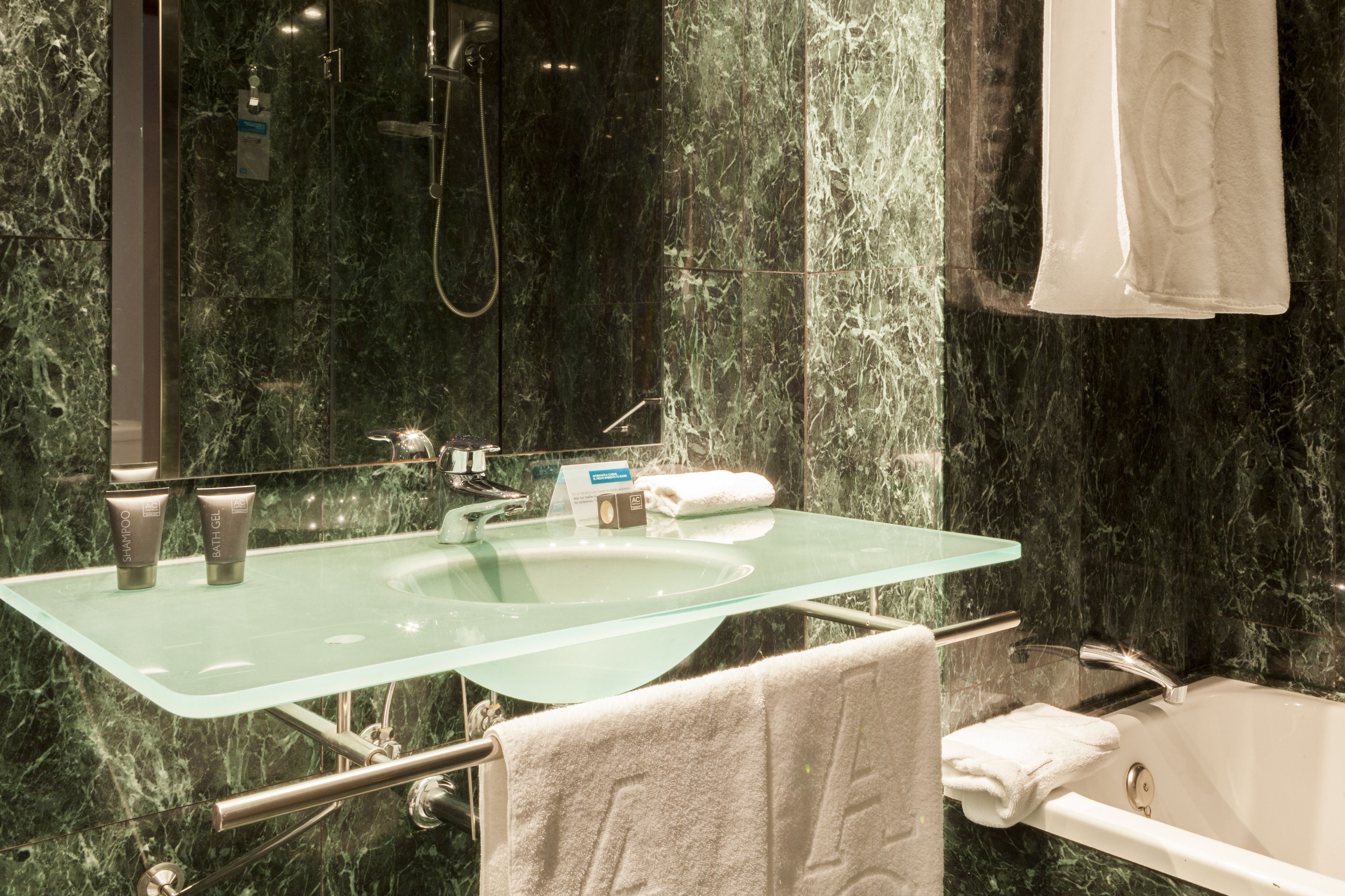 combined shower/bathtub, free toiletries, hair dryer, towels