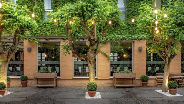 An outdoor seating area with potted plants and string lights. - AC Hotel Ciudad de Tudela by Marriott (Tudela)