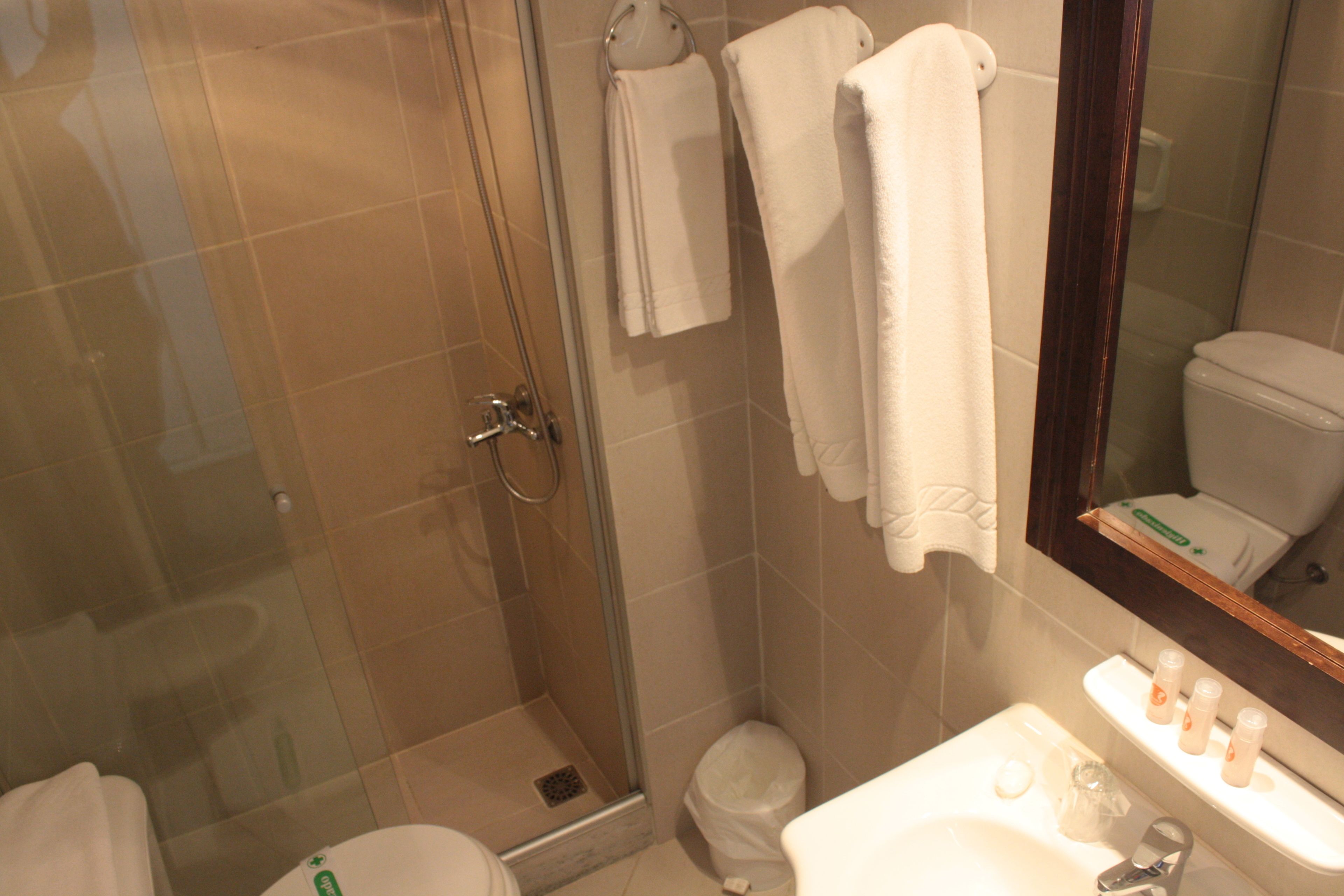 A bathroom with a glass shower enclosure, a toilet, a sink with toiletries, and a mirror.