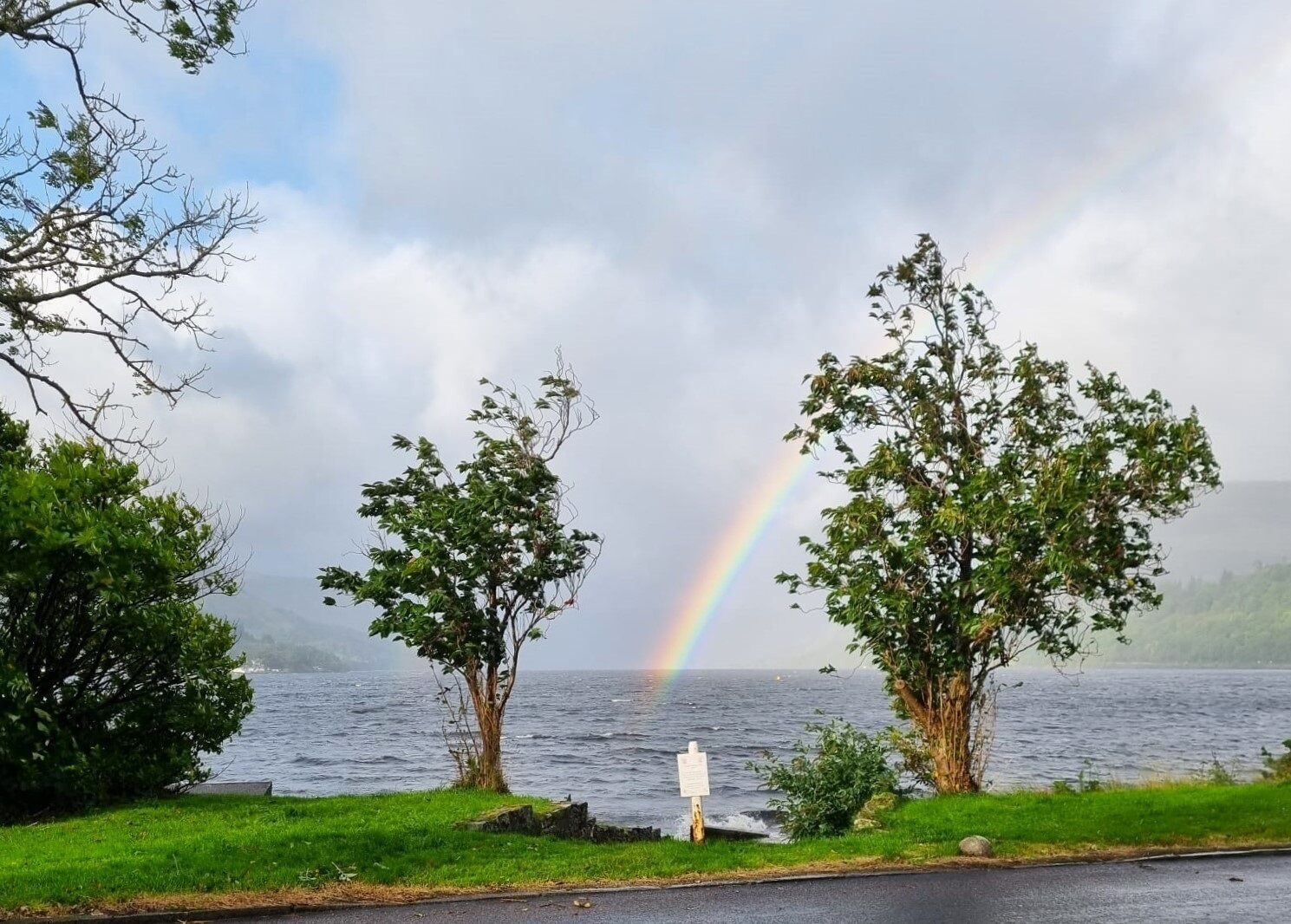 A person standing between two trees by a body of water with a rainbow in the background.