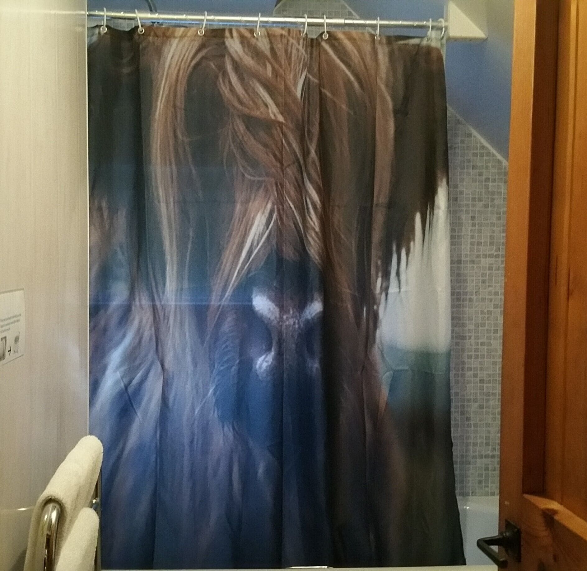 combined shower/bathtub, free toiletries, hair dryer, towels