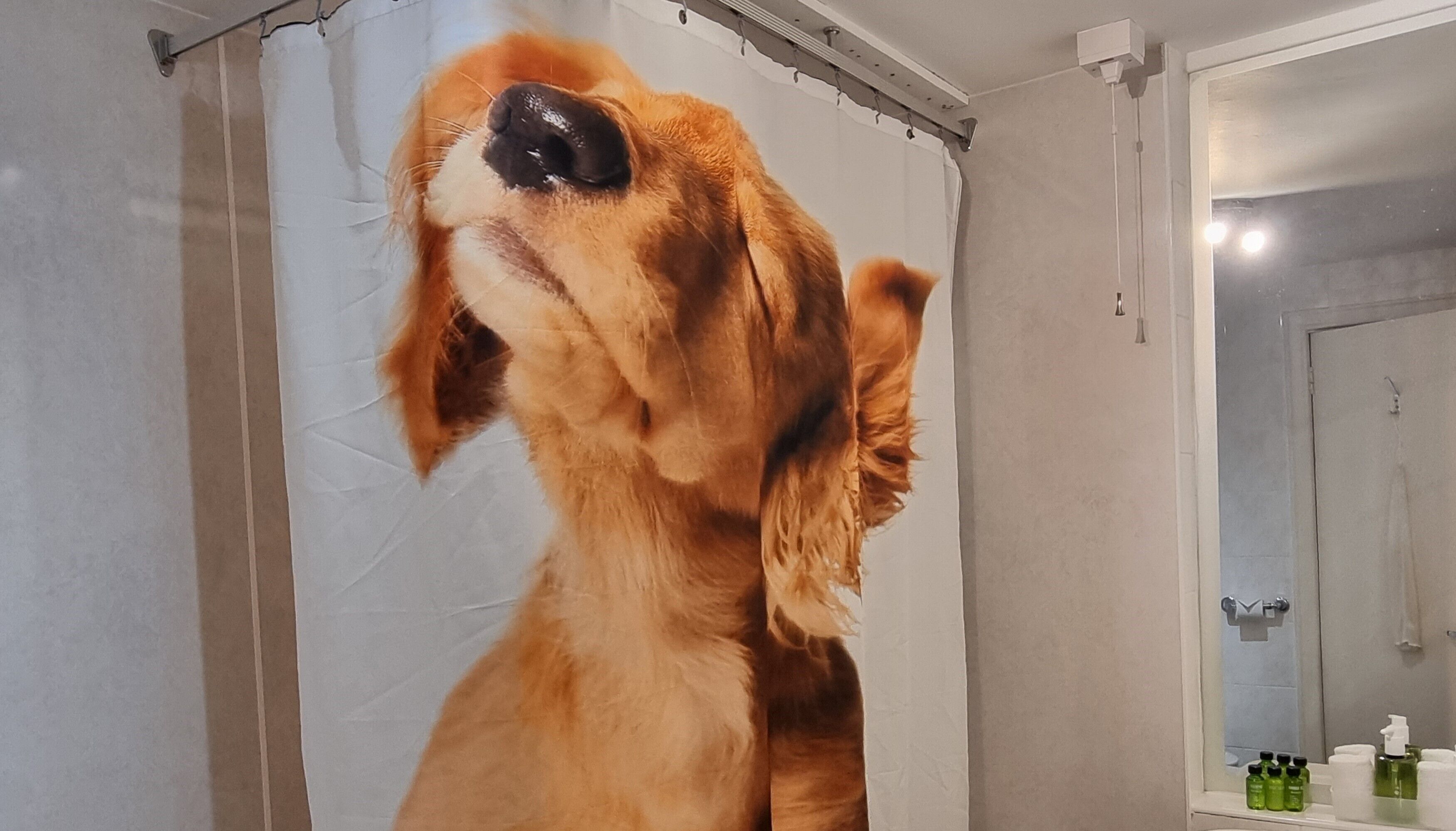 superior double room, lake view | bathroom shower