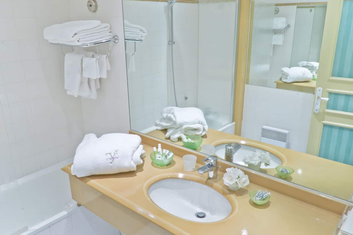 deluxe double room | bathroom shower