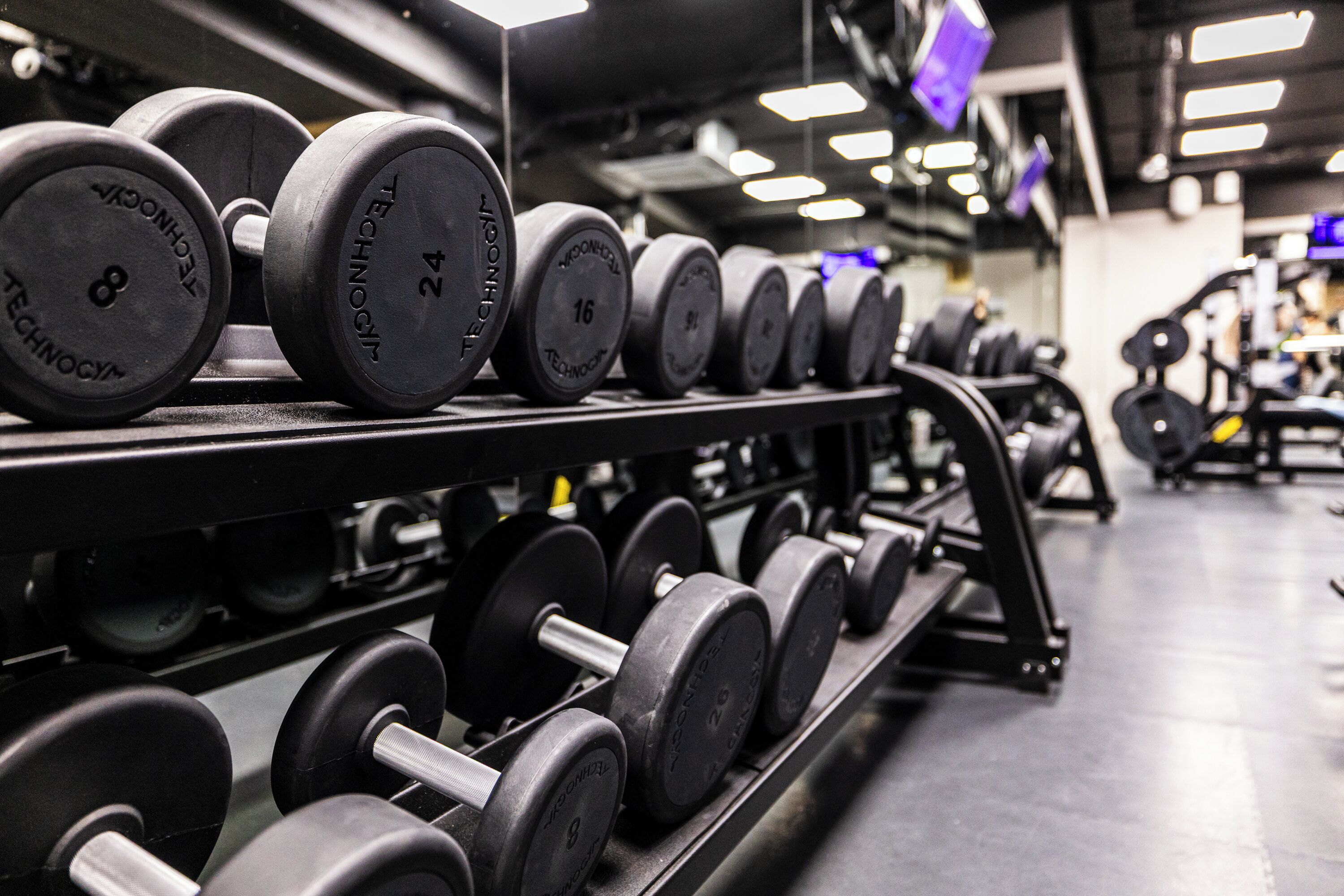 A rack of weightlifting equipment with various weights.
