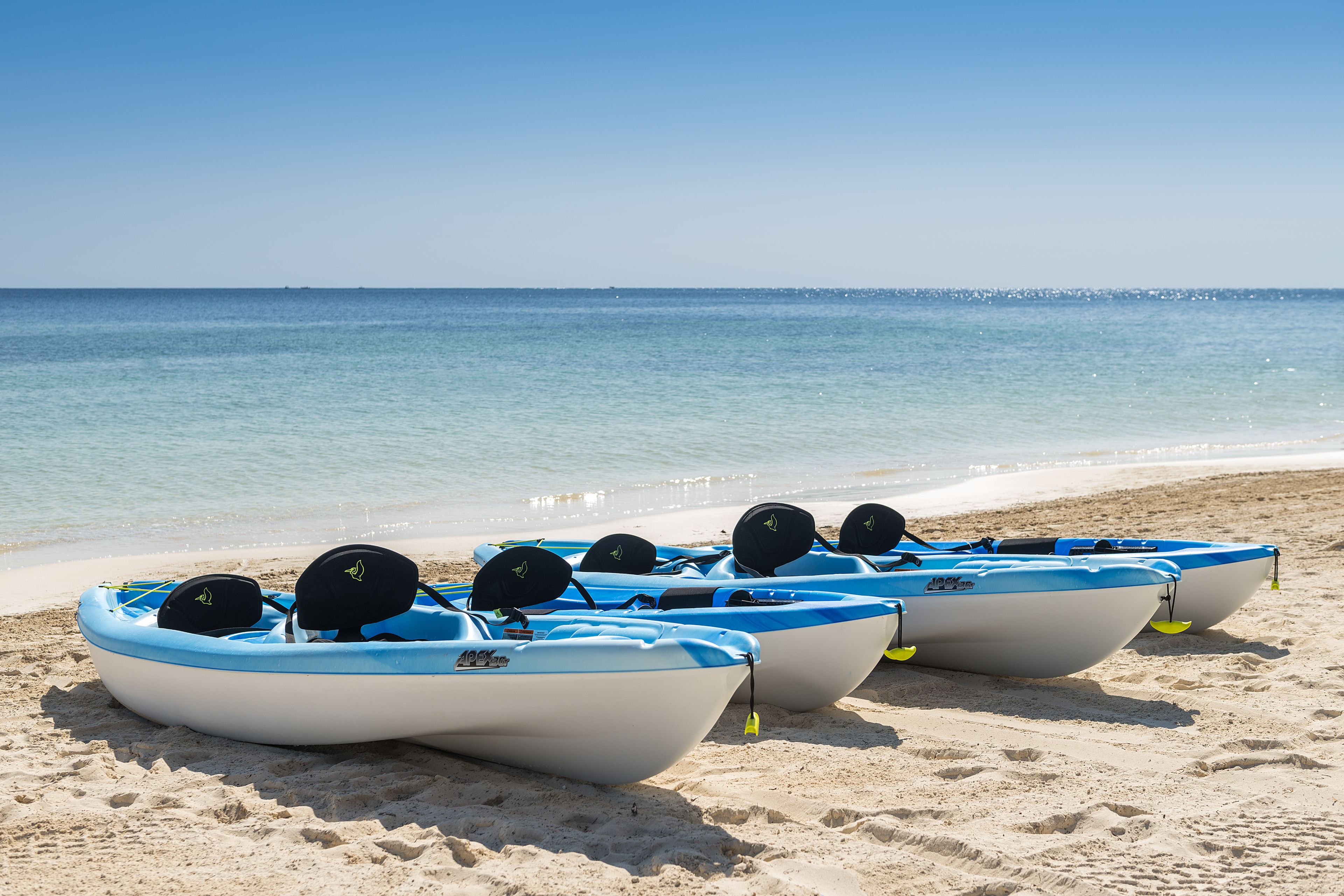 A row of small, blue and white boats lined up on a sandy beach with the ocean in the background.