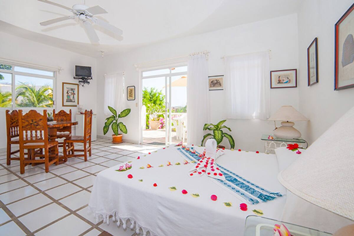 Habitación de hotel con cama, escritorio, sillas, televisor, plantas en macetas y vistas al exterior.