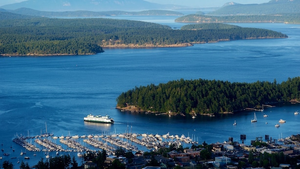 A marina with boats, a cruise ship, and a forested island. - Bird Rock Hotel (Friday Harbor)