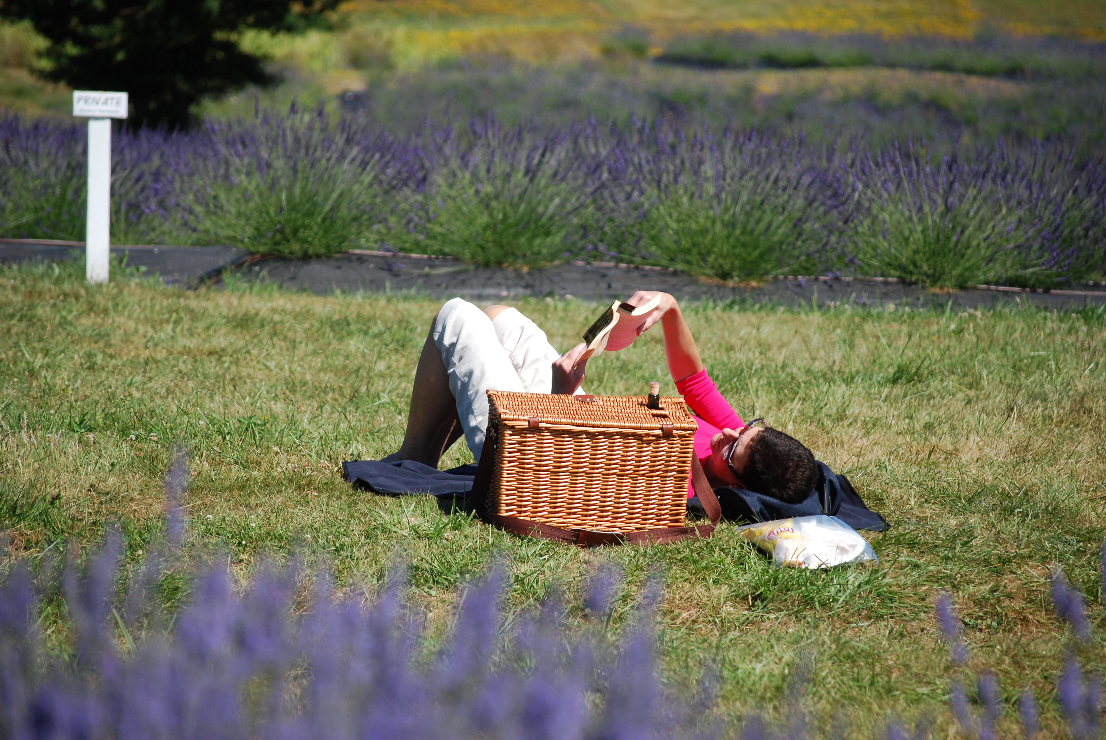 Una persona recostada sobre la hierba con una cesta de picnic y una bolsa.