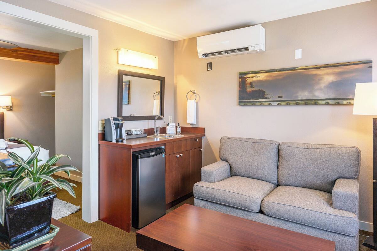 Un espacio habitable compacto con kitchenette, un sofá, una mesa de centro y una planta en maceta.
