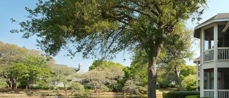 Cenário tranquilo à beira do lago com uma grande árvore, um edifício com varanda e céu claro.