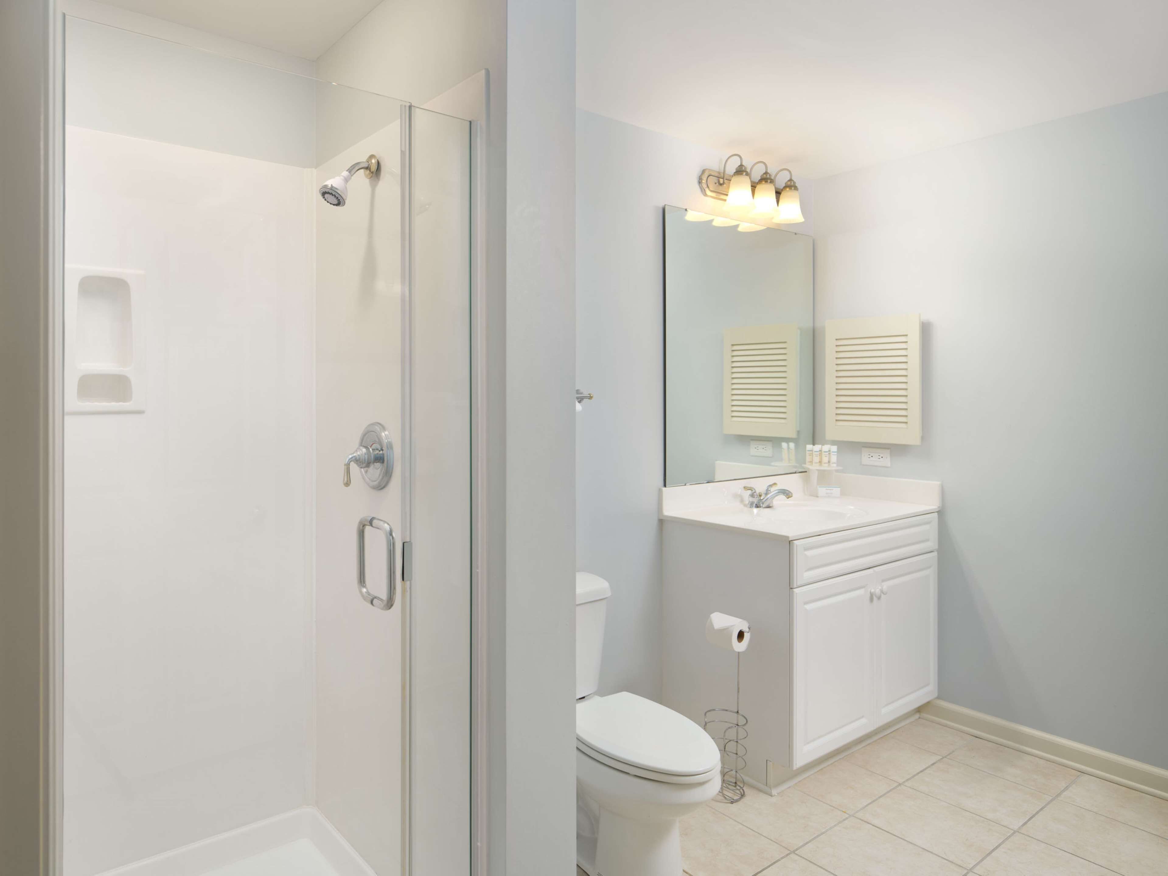 Une salle de bain avec une douche à parois de verre, des toilettes et un meuble-lavabo avec un miroir et un luminaire.