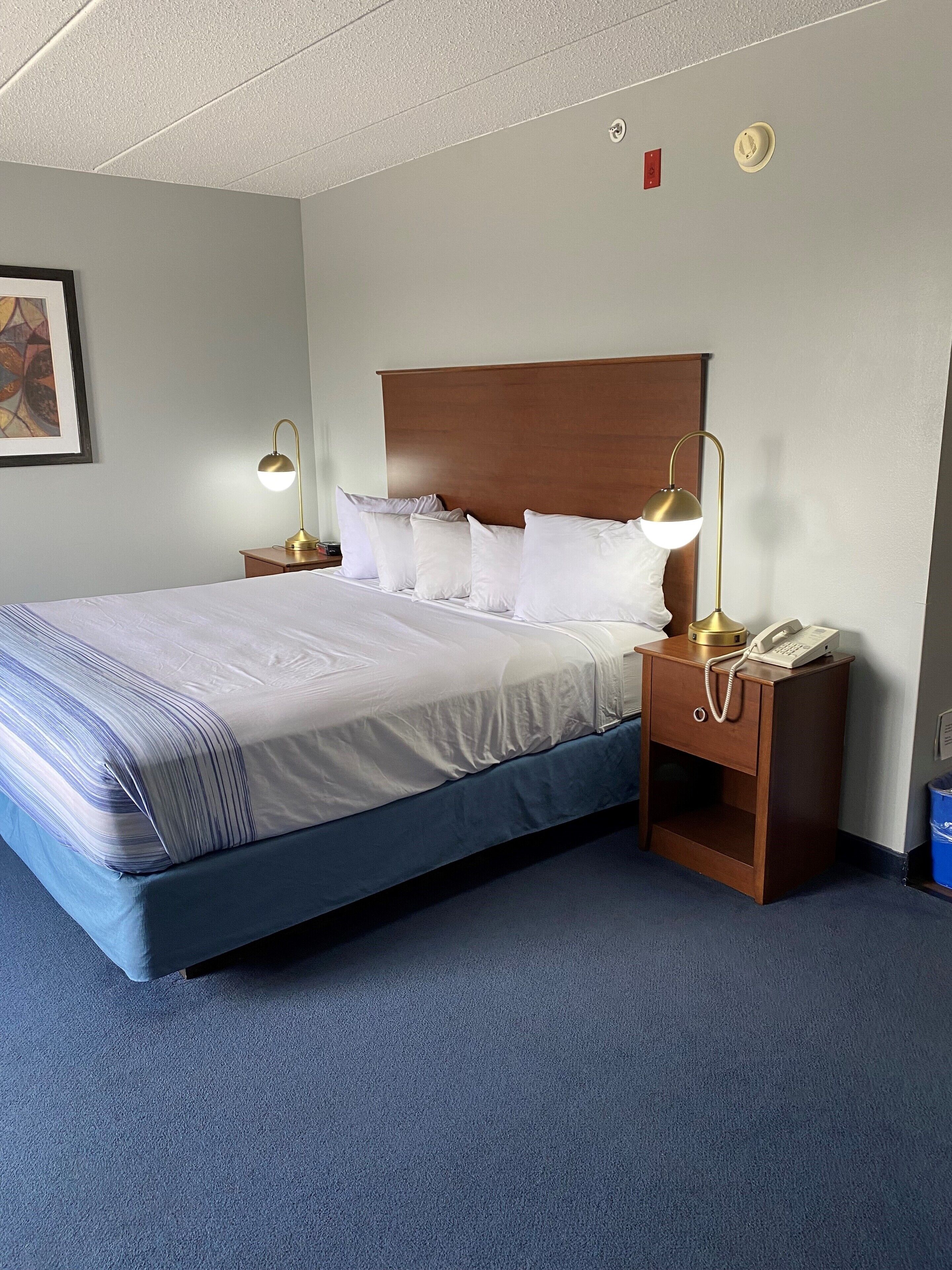 studio suite, 1 king bed | blackout curtains, iron/ironing board, free cots/infant beds