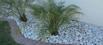 Fisherman's Cove Inn