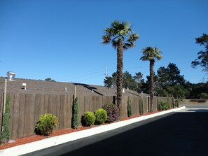 Exterior - Fisherman's Cove Inn (Monterey)