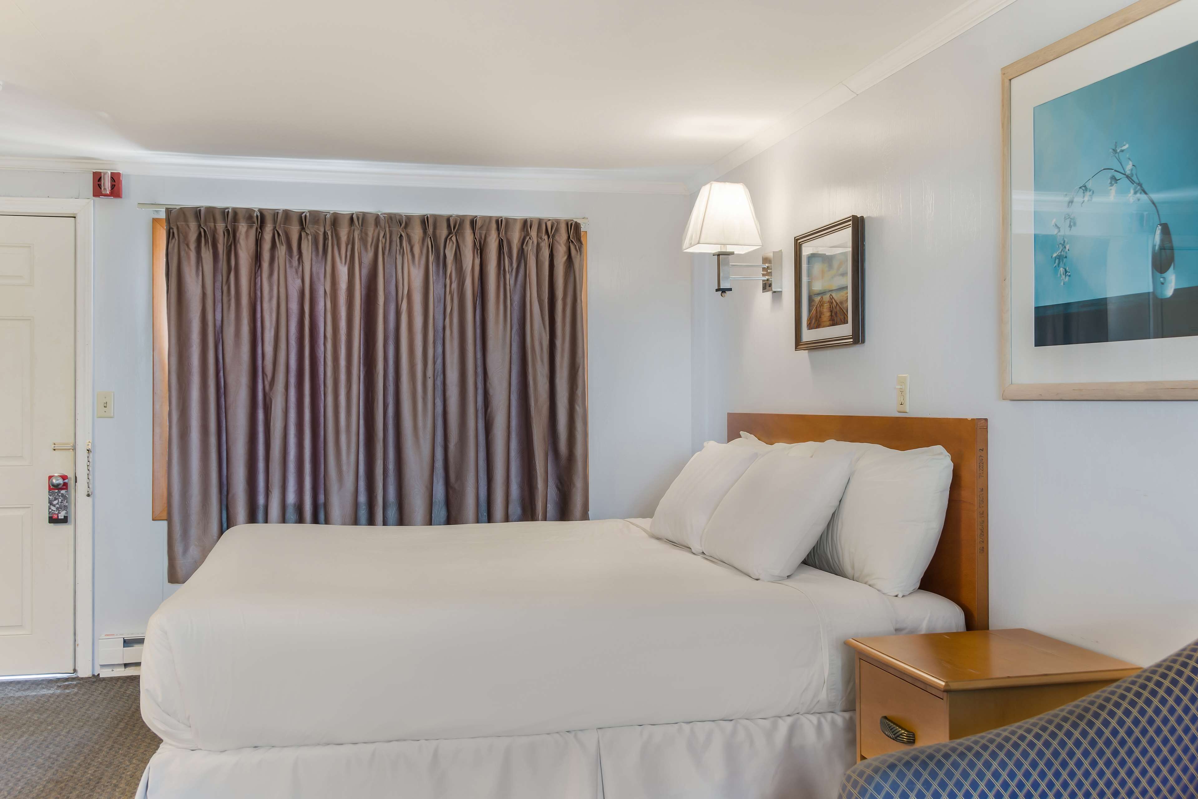 A hotel room with a large bed, a bedside table, a lamp, and a framed picture on the wall.