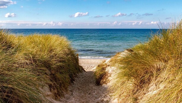 A beach path leading to the ocean, surrounded by grass dunes. - The Sanderling (Duck)