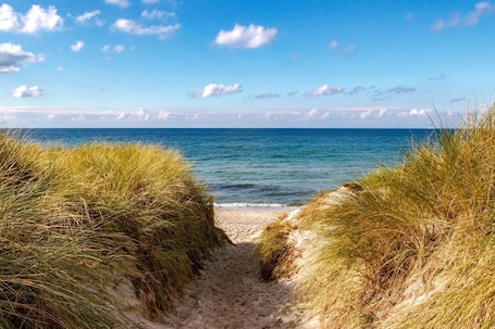 A beach path leading to the ocean, surrounded by grass dunes.