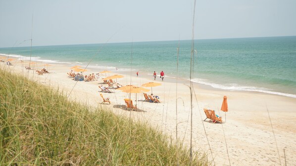 Beach/ocean view