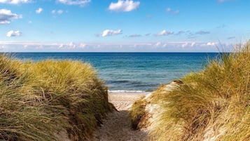 On the beach, sun-loungers, beach umbrellas, beach towels
