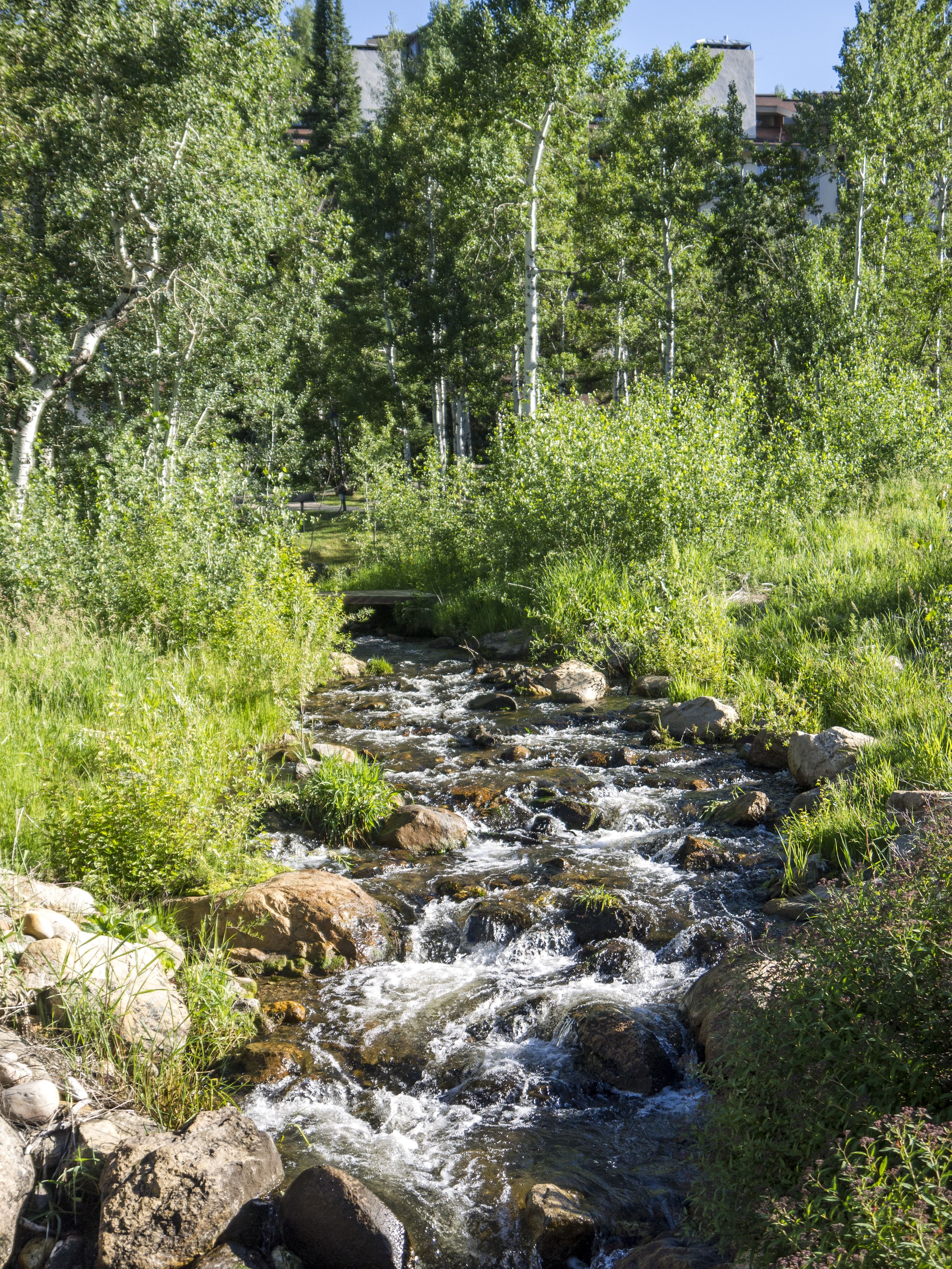 A stream flowing through a natural landscape with rocks and greenery.