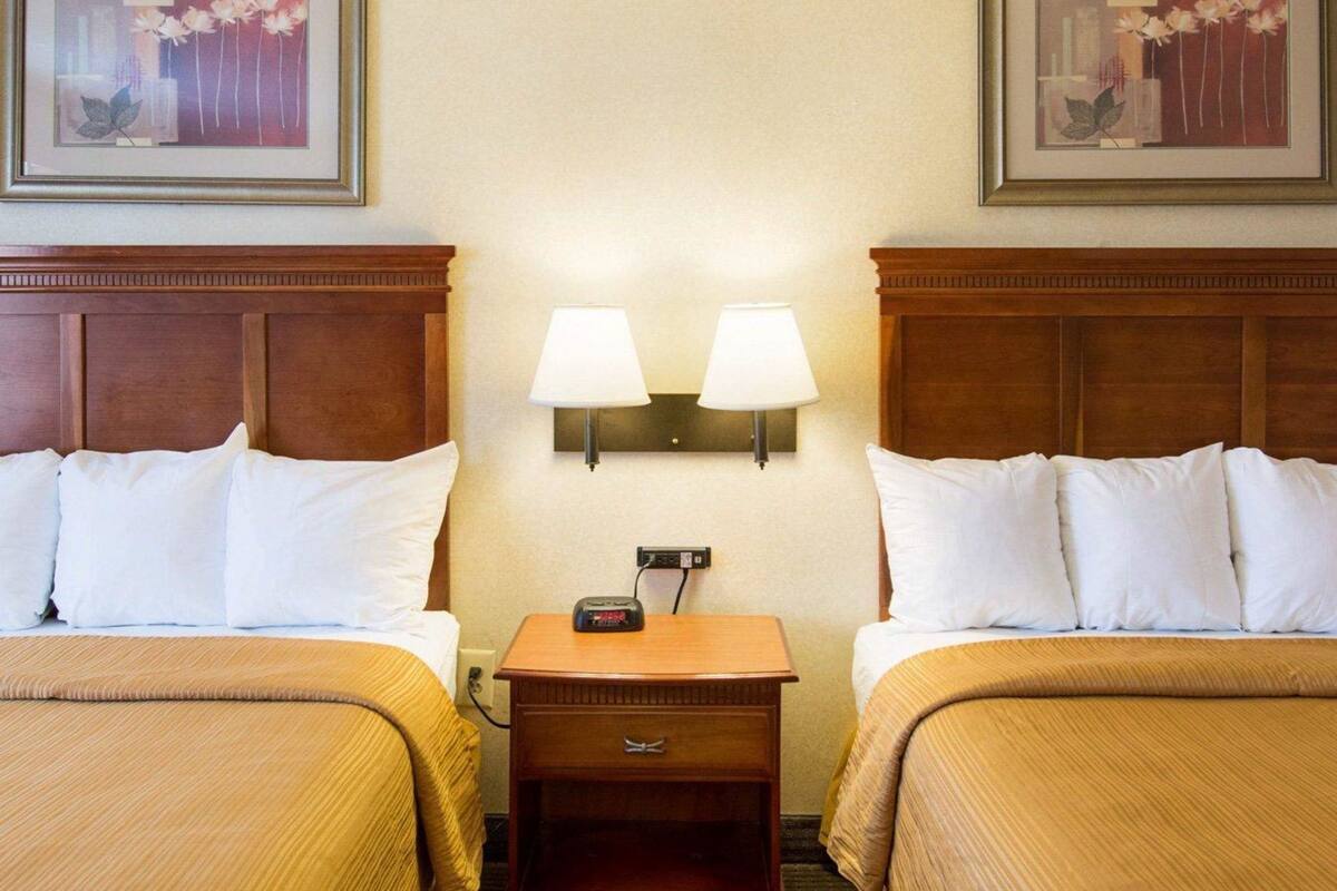 A hotel room with two beds, a nightstand with a lamp, and two framed floral paintings on the wall.
