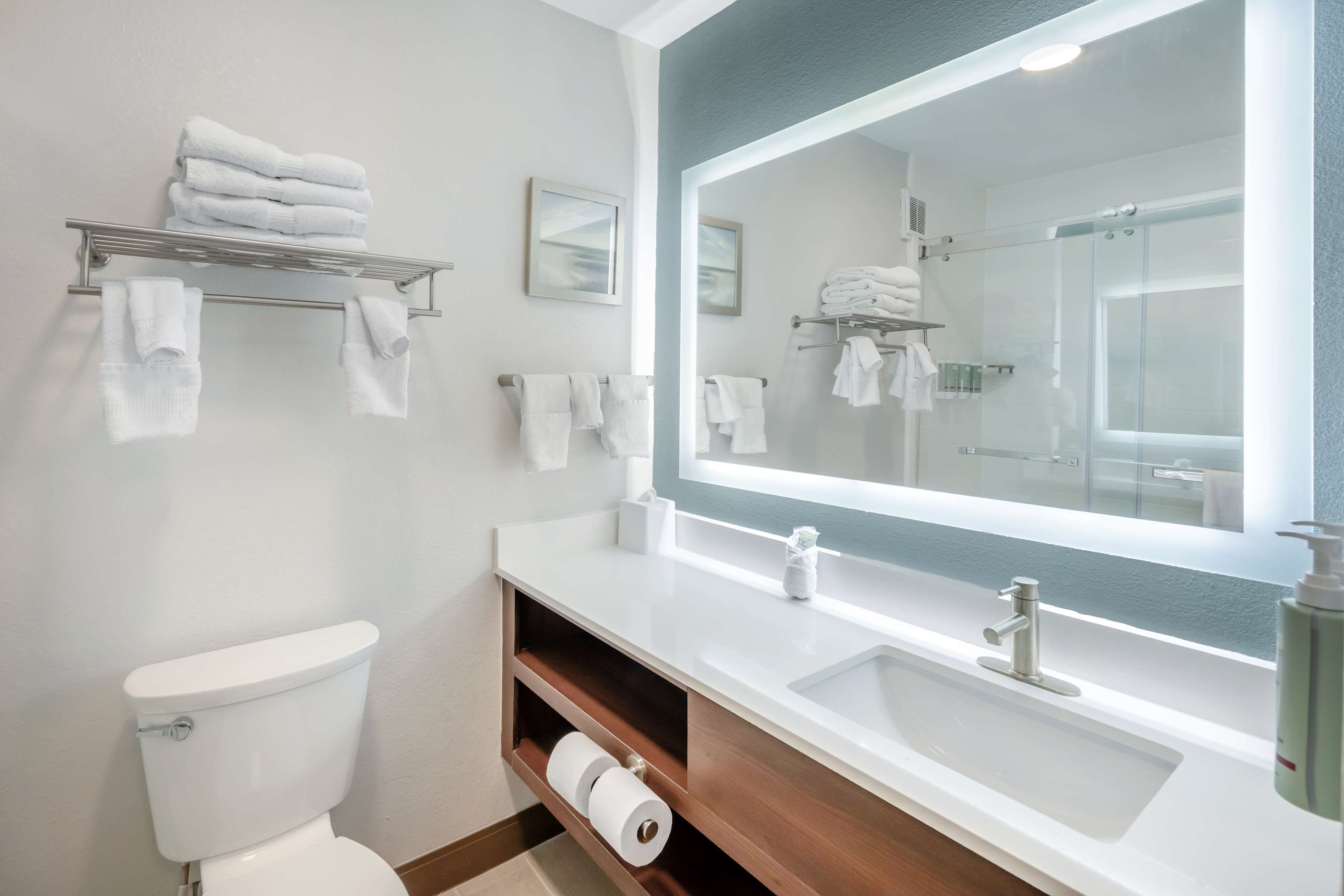 standard room, 1 king bed, non smoking, refrigerator & microwave (walk-in shower;larger room) | bathroom | combined shower/bathtub, hydromassage showerhead, free toiletries