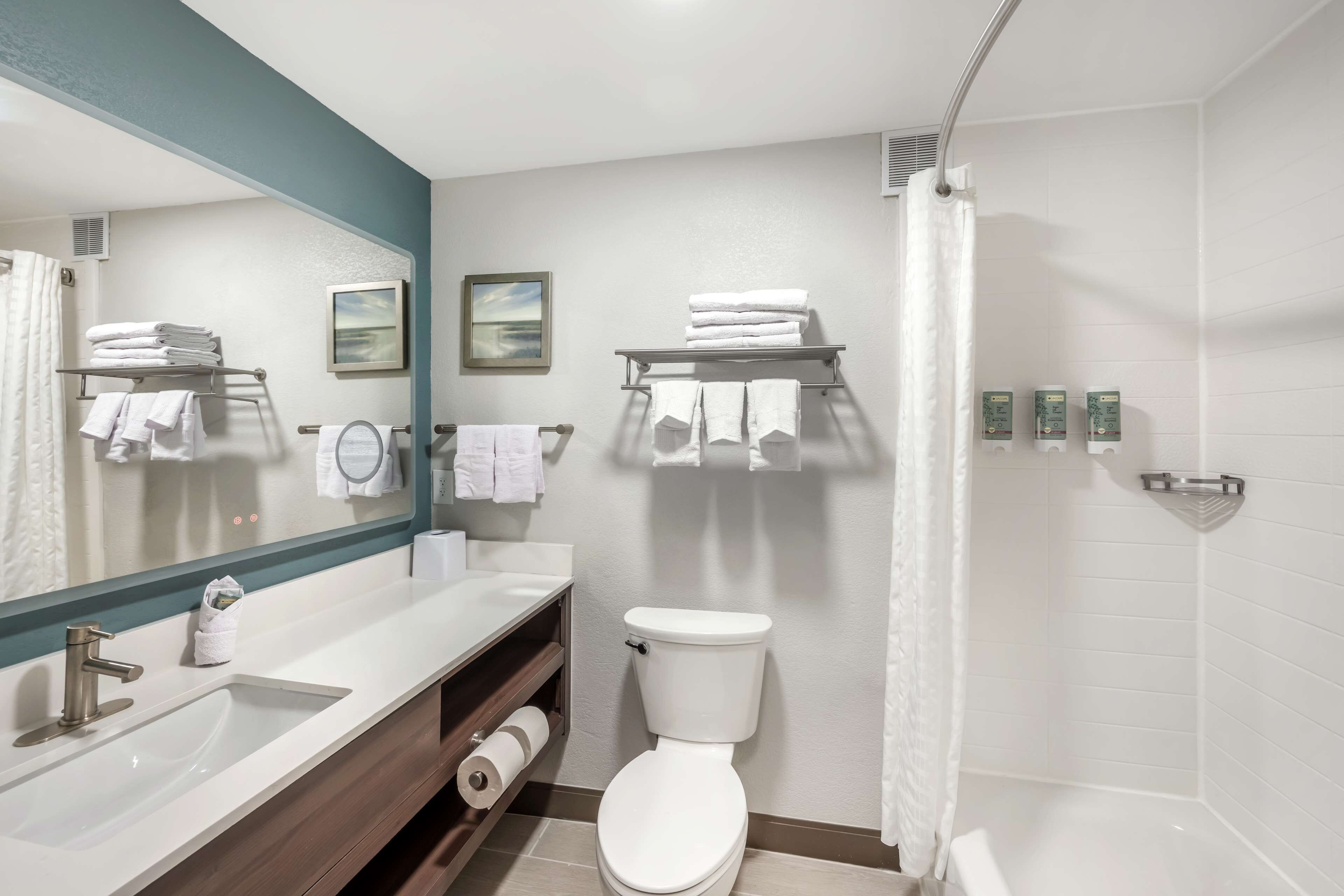 combined shower/bathtub, hydromassage showerhead, free toiletries